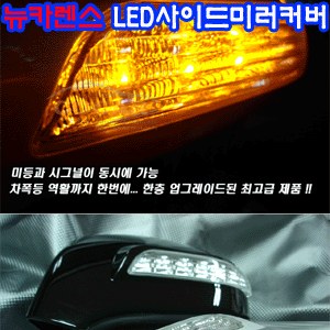 코카 뉴카렌스 LED사이드미러커버 리피터 프리미엄 (좌우세트)