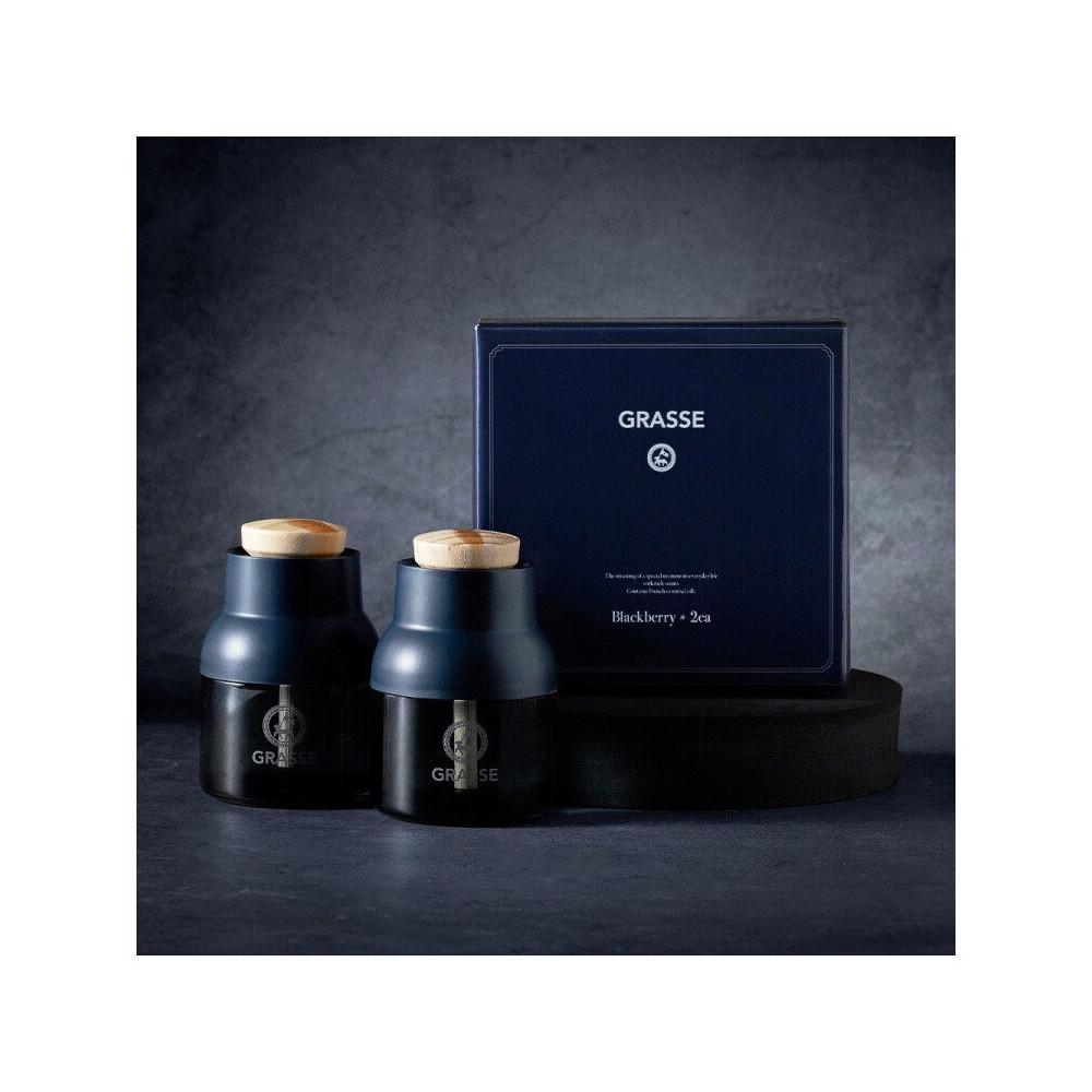 그라스 블루 차량용 디퓨저 90ml 2개입 사진 1